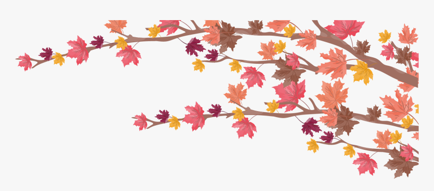 Maple Leaf, HD Png Download