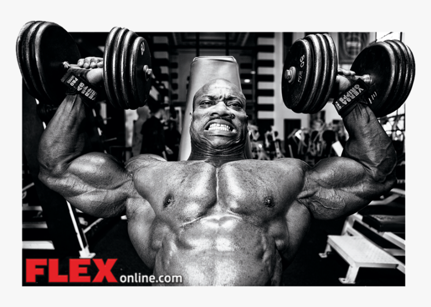 New Year, New Muscle - Bodybuilding, HD Png Download