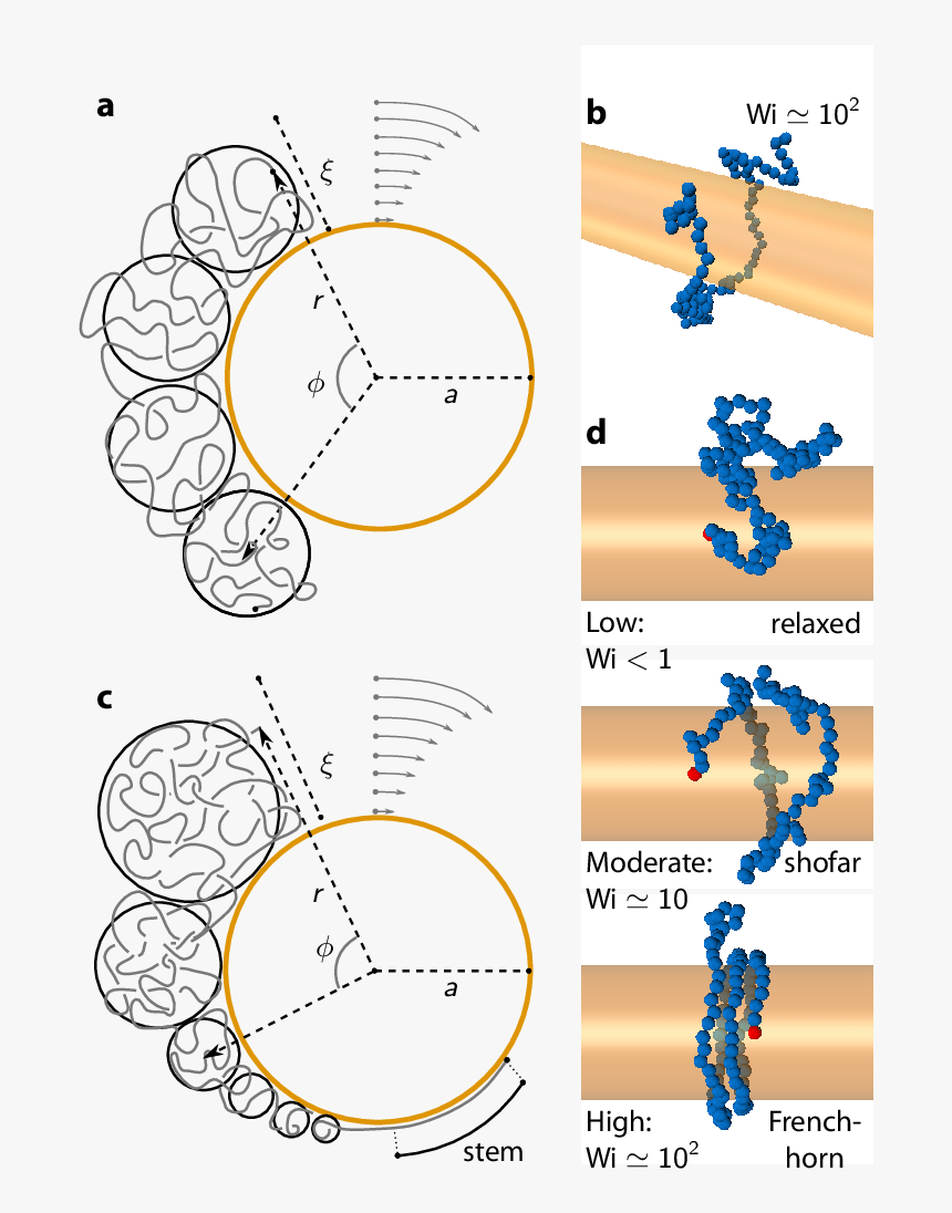 Diagram, HD Png Download