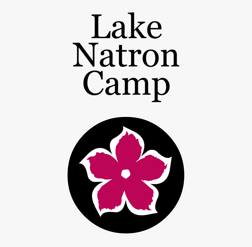 Natron-th - Poster, HD Png Download