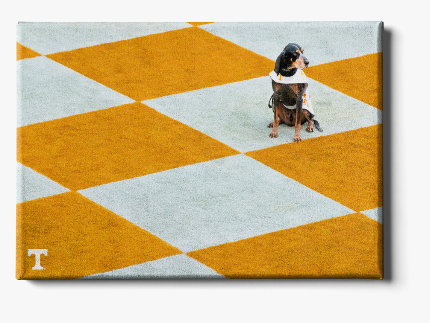 Lady Vol Swish - Tennessee Volunteers, HD Png Download