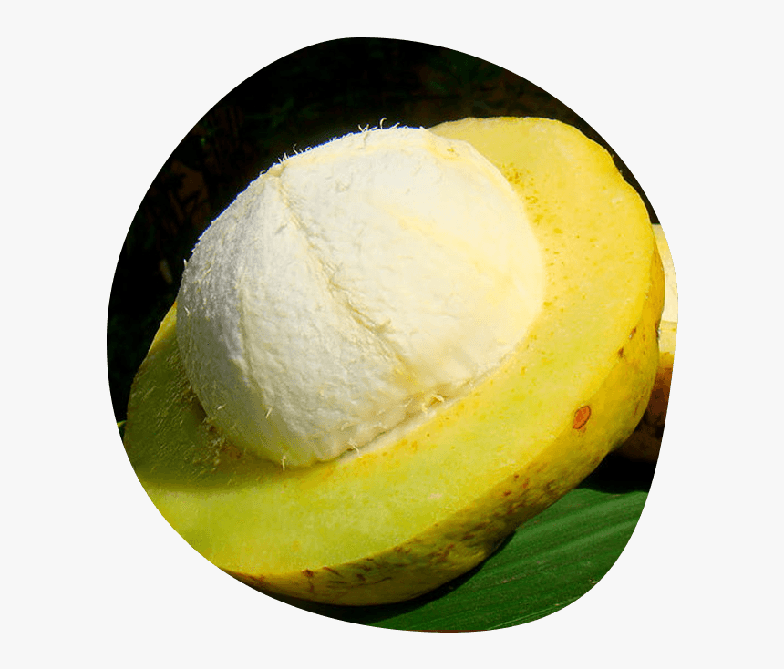 Bundz, HD Png Download