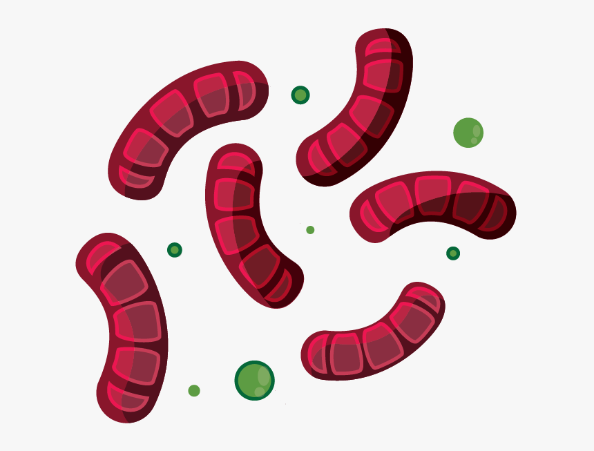 Virus 2-08 - Illustration, HD Png Download