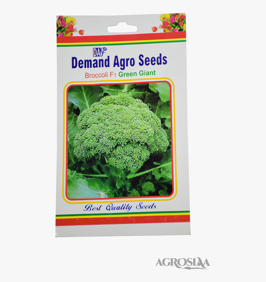 Broccoli, HD Png Download