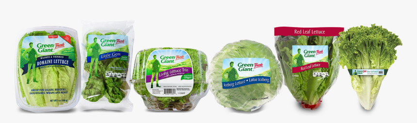 Iceburg Lettuce, HD Png Download
