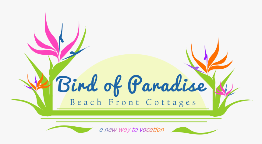 Bird Of Paradise Beach Front Cottages - Birds Of Paradise Logo, HD Png Download