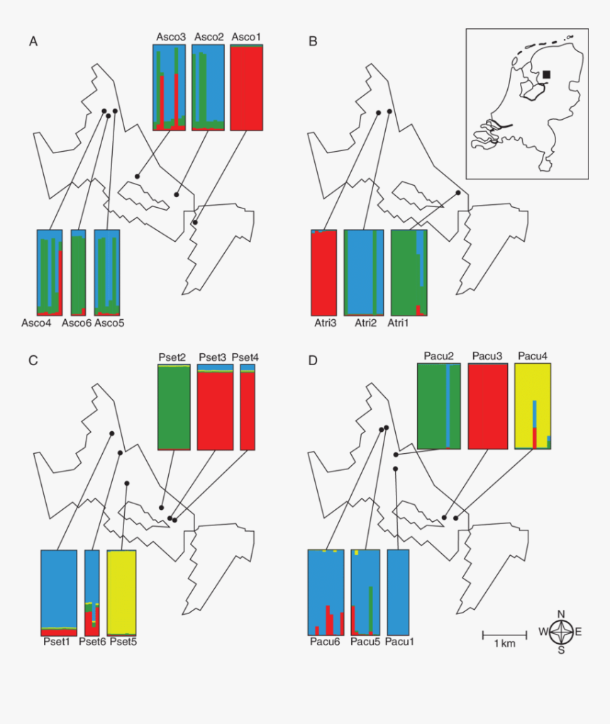 Diagram, HD Png Download