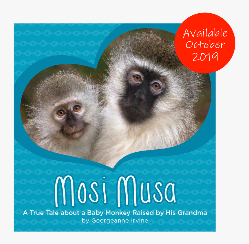 Mosi Musa: A True Tale About A Baby Monkey Raised By, HD Png Download