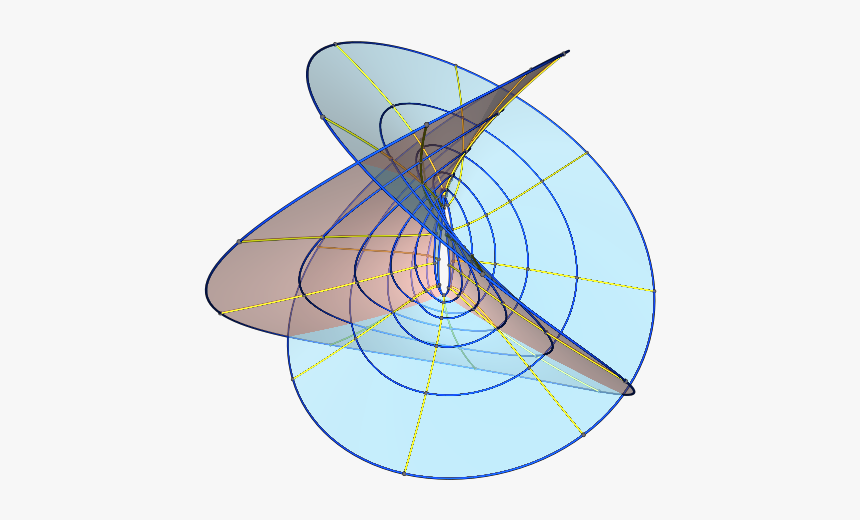 Insect, HD Png Download