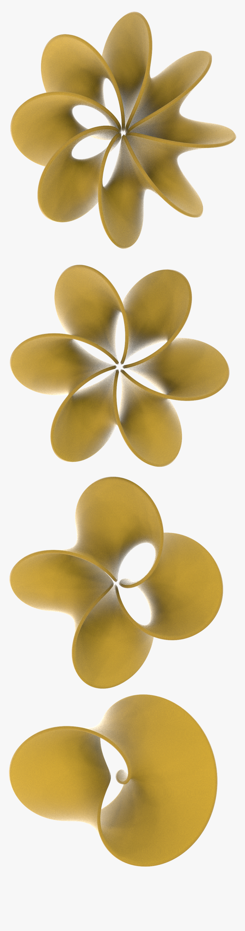 Floral Design, HD Png Download