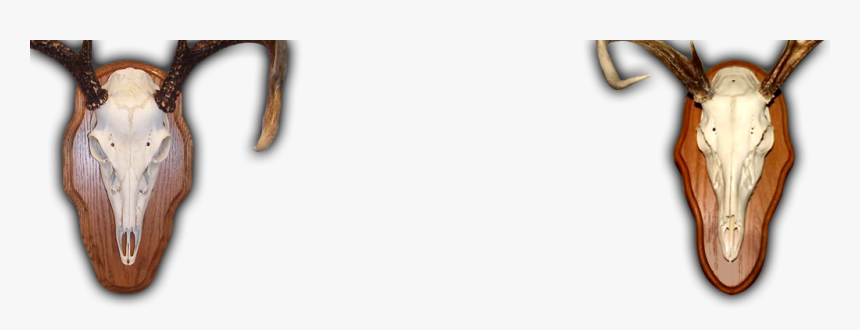 Clock, HD Png Download