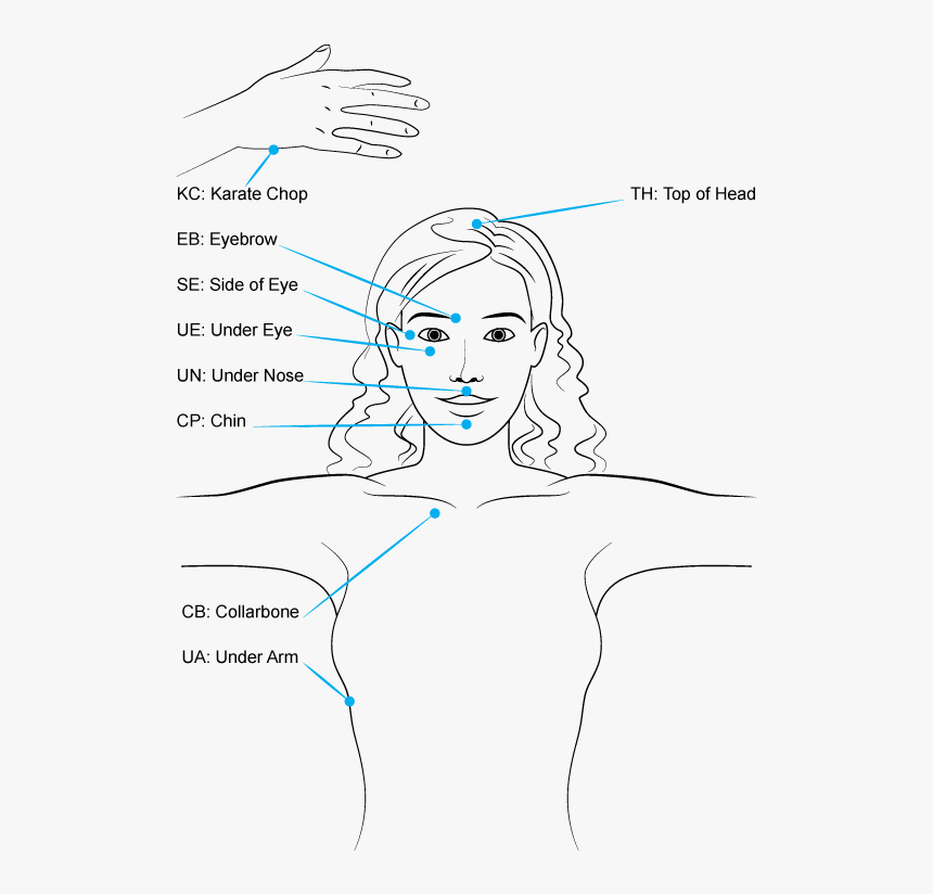 Sketch, HD Png Download