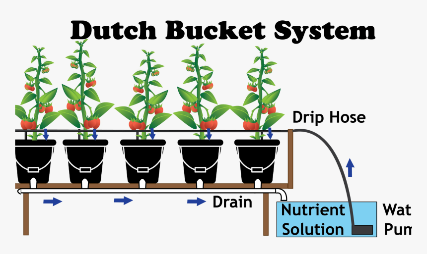 Grow Dutch Bucket System, HD Png Download