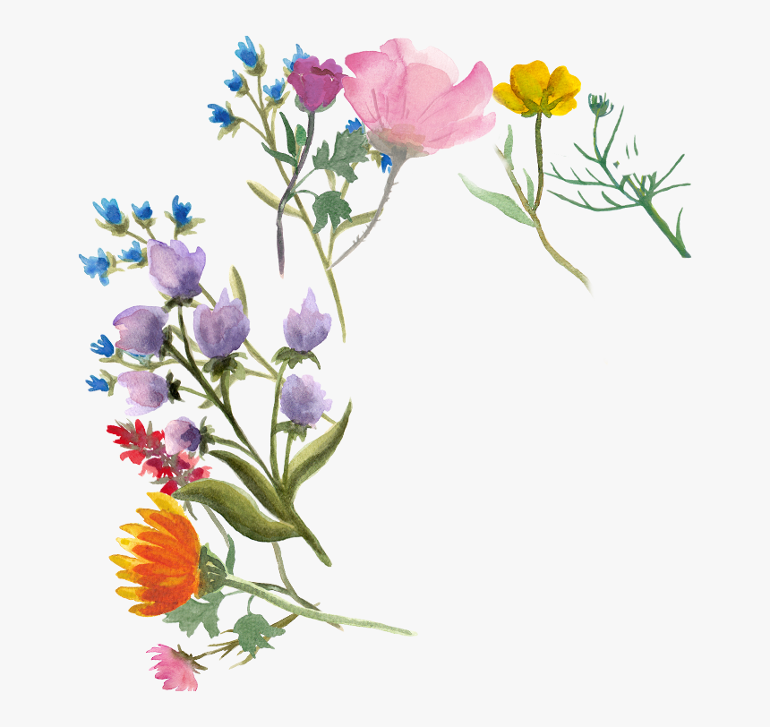 Bellflower, HD Png Download