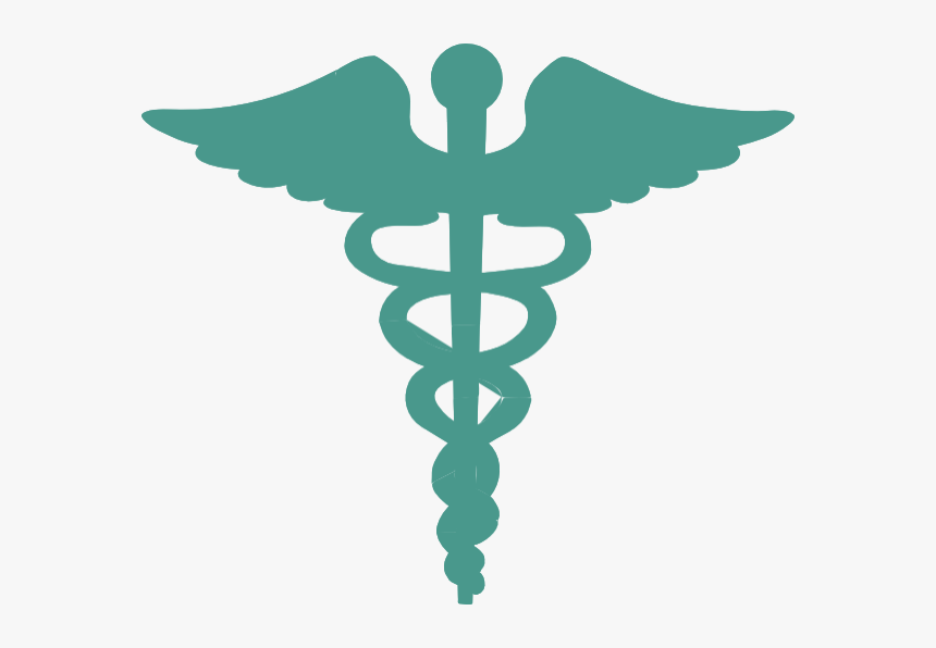 Red Cross With Snake, HD Png Download