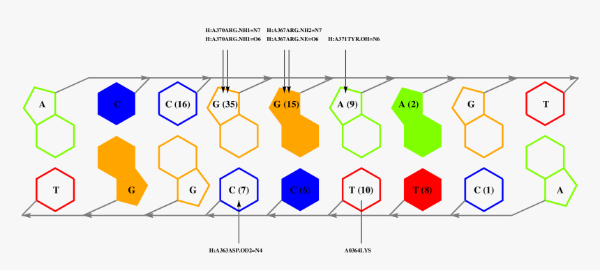 Diagram, HD Png Download
