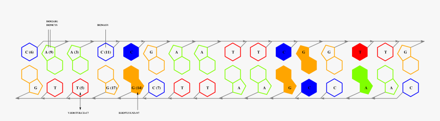 Diagram, HD Png Download