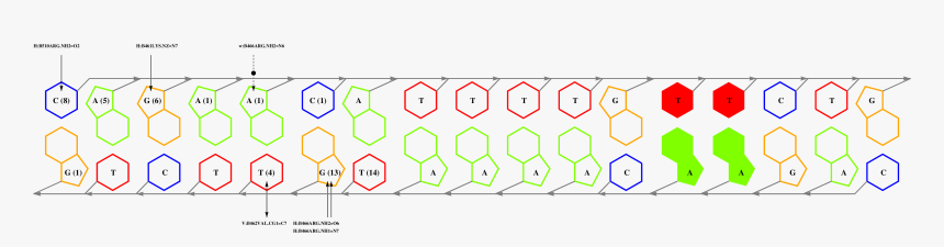 Diagram, HD Png Download