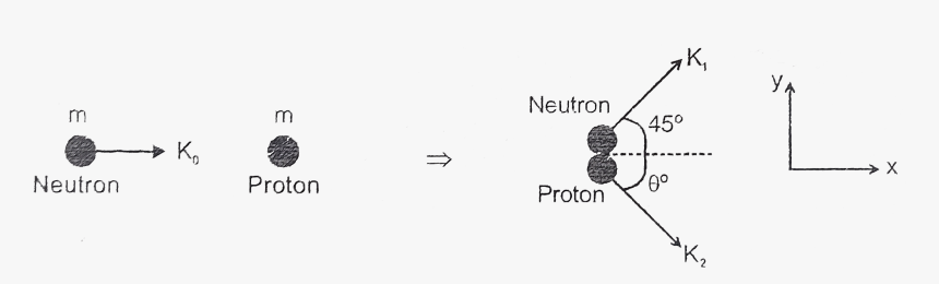 Hazel Alder, HD Png Download