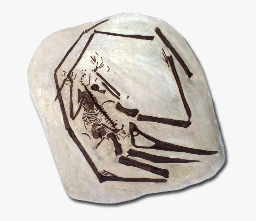 Artifact, HD Png Download , Transparent Png Image - PNGitem