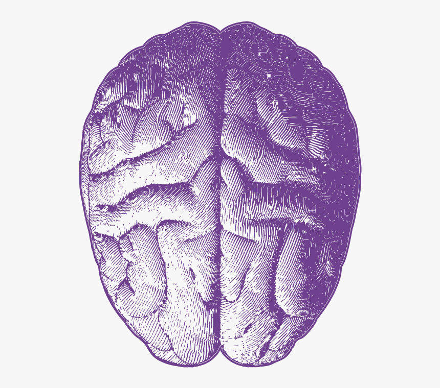 Illustration, HD Png Download