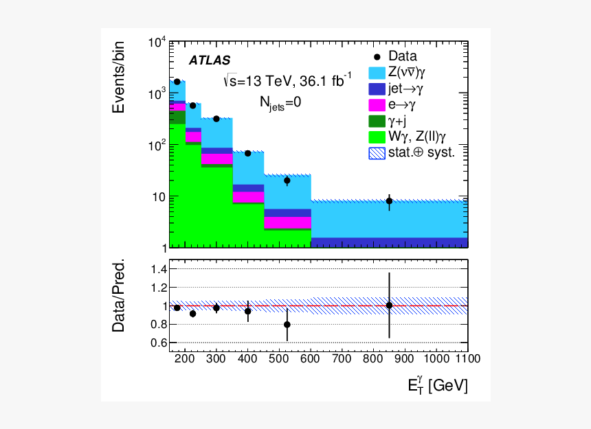 Ariel Camacho Png, Transparent Png