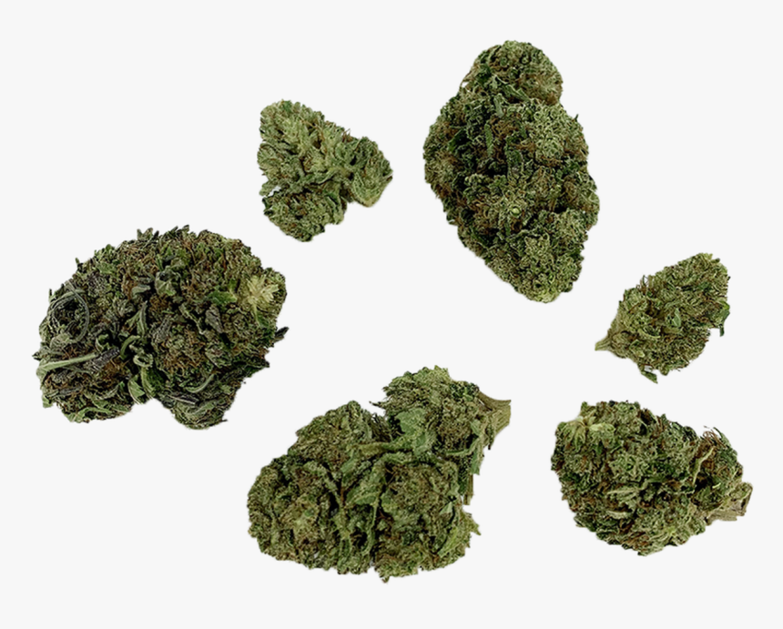 Moss, HD Png Download