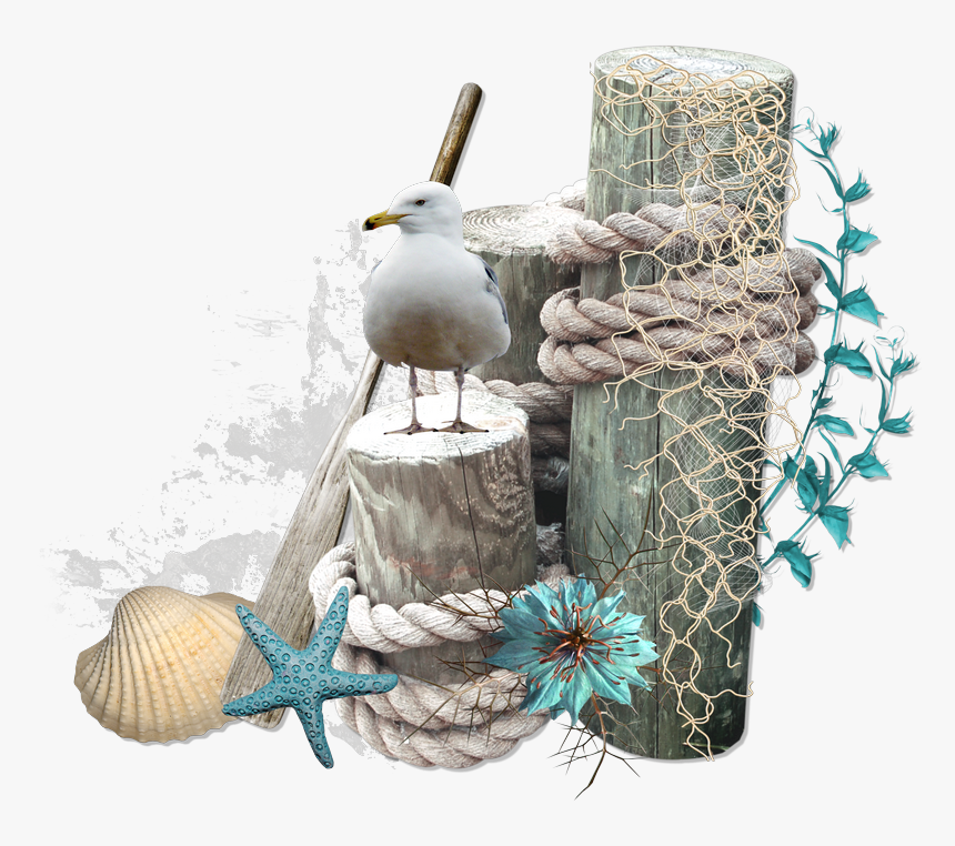 Png Decoration Plage, Transparent Png