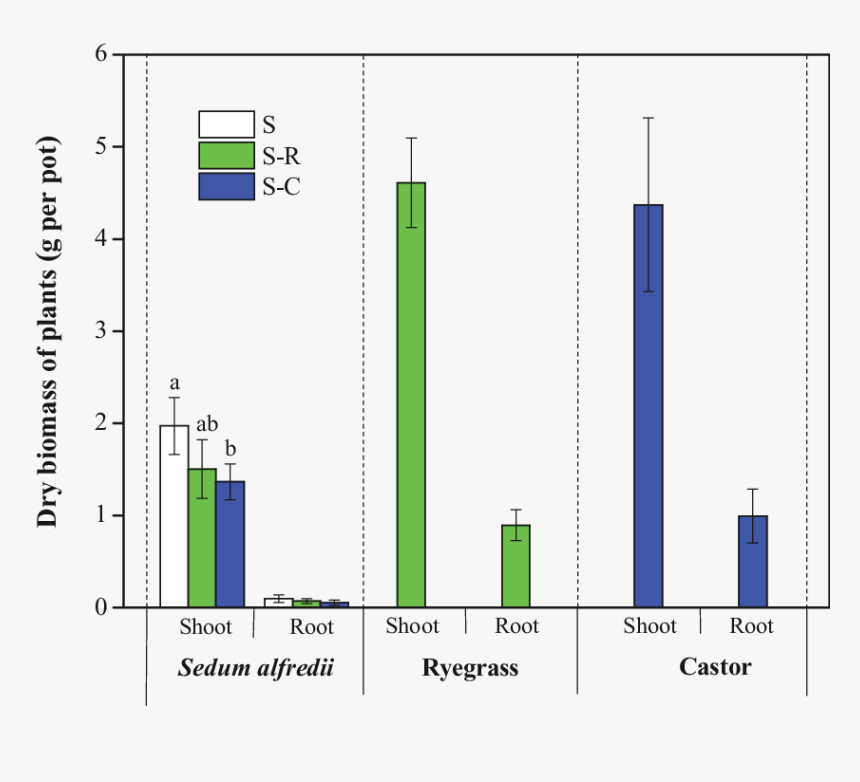 Diagram, HD Png Download