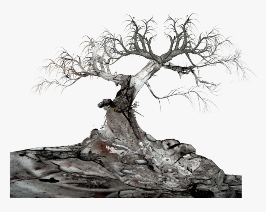 #fantasy #old #tree #oldtree #white #rock #dead #branch - Crucible Character Map Act 1, HD Png Download