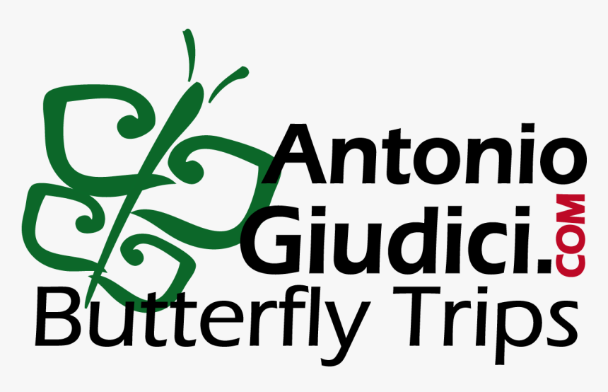 Calligraphy, HD Png Download