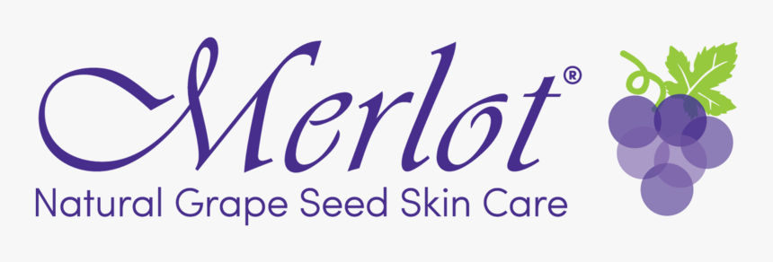 Beaute Mori, HD Png Download