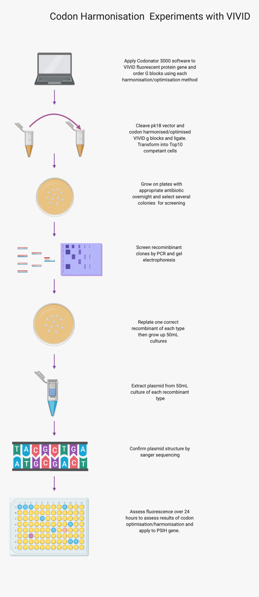 Diagram, HD Png Download