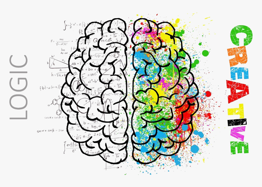 Dos Partes Del Cerebro, HD Png Download