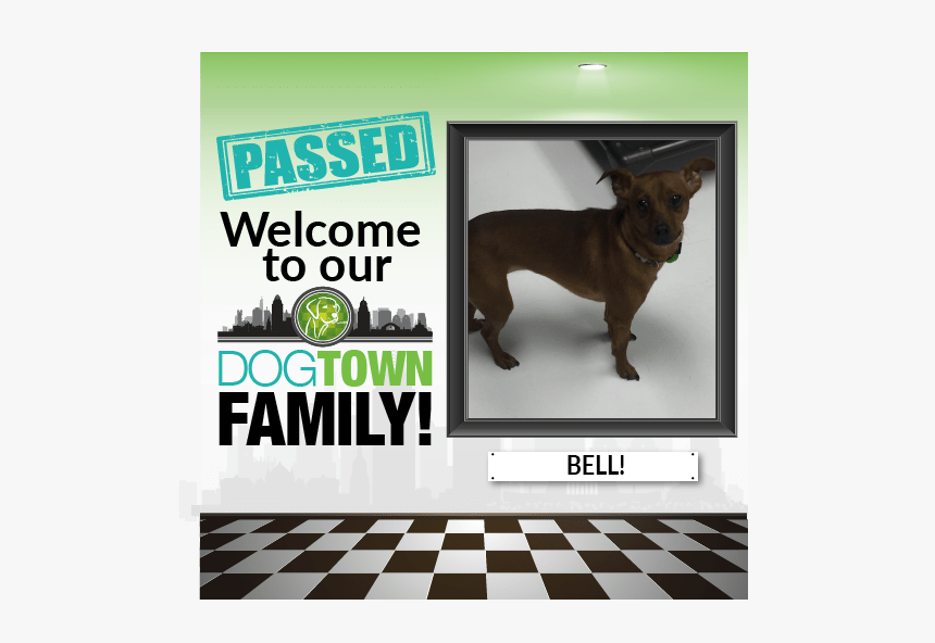 Bell - Guard Dog, HD Png Download