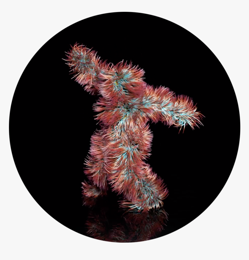 Circle, HD Png Download