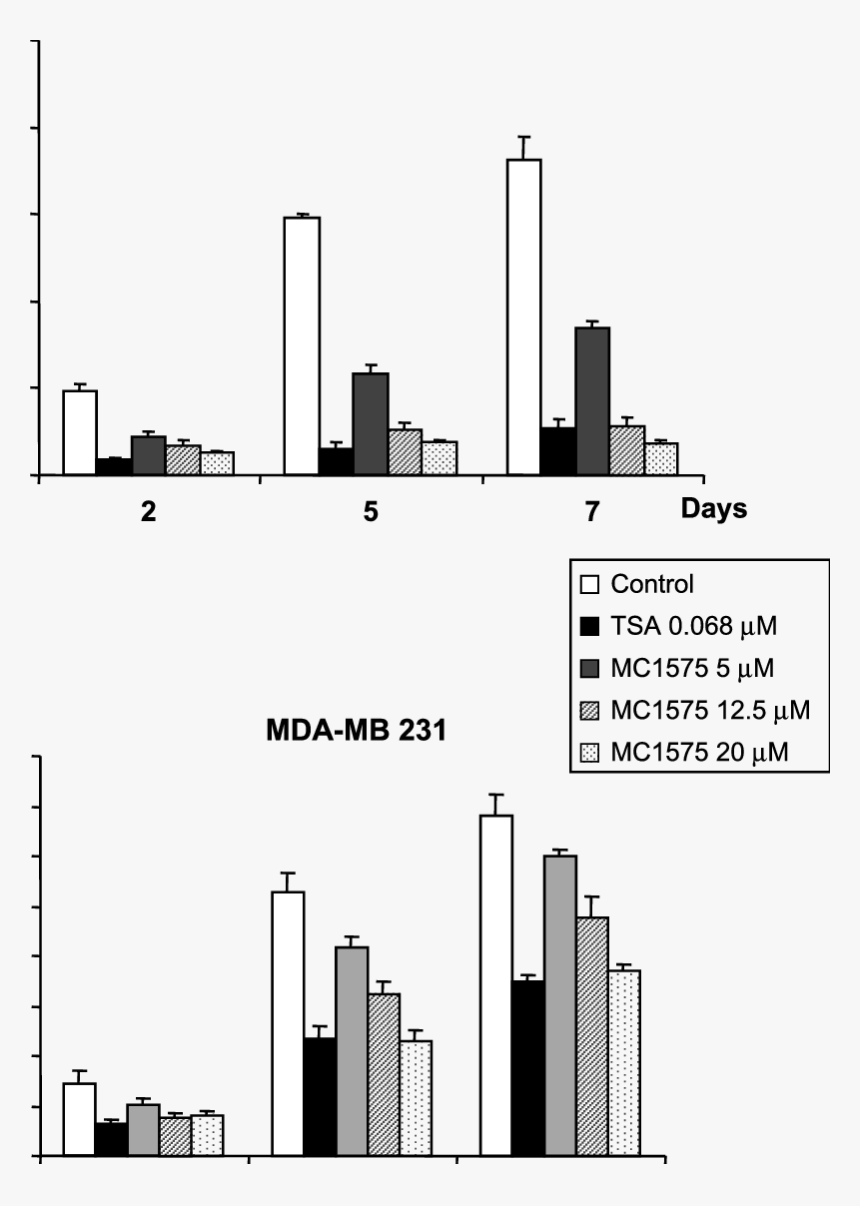 Diagram, HD Png Download