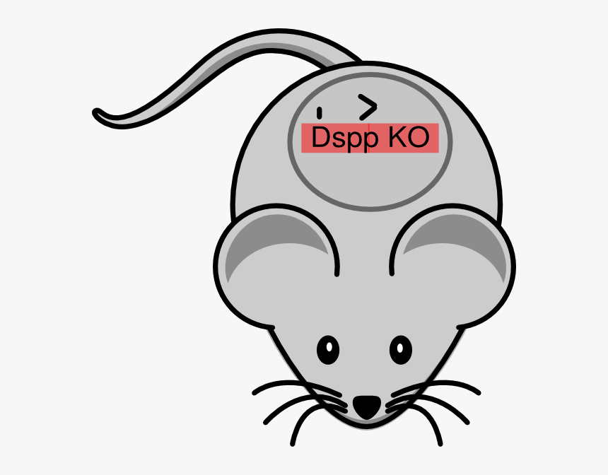 Mouse Clip Art, HD Png Download