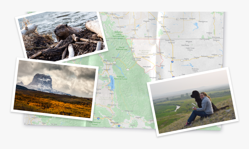 Grass, HD Png Download