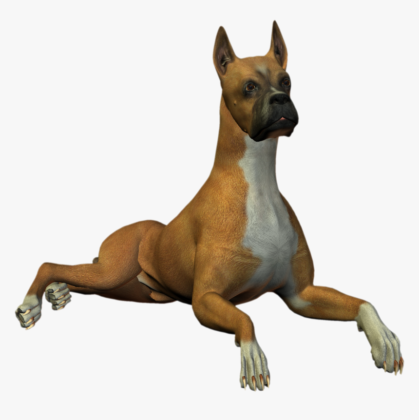 High Resolution Png Free - Dog Png High Resolution, Transparent Png