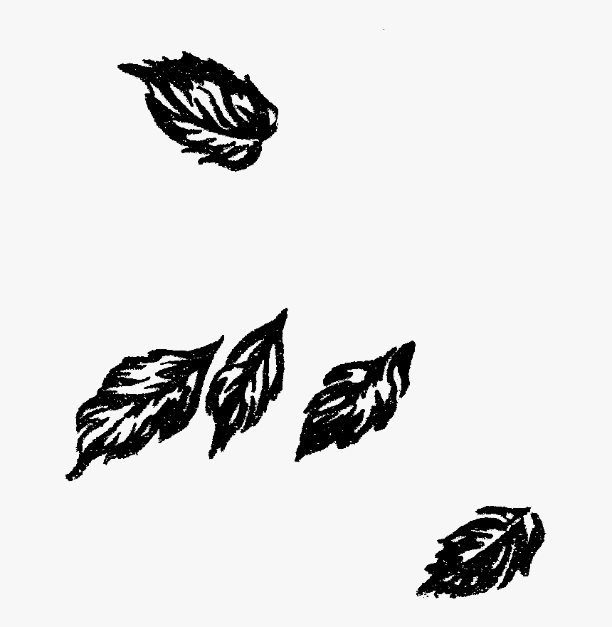 Leaves Image Botanical Clip Art - Illustration, HD Png Download