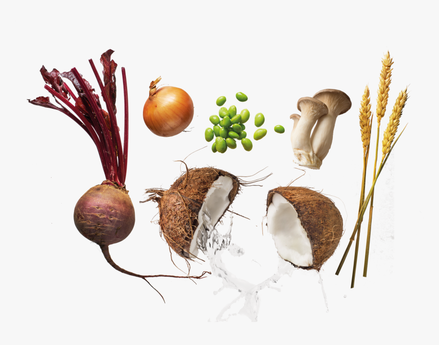 Flexitarian - Coconut, HD Png Download