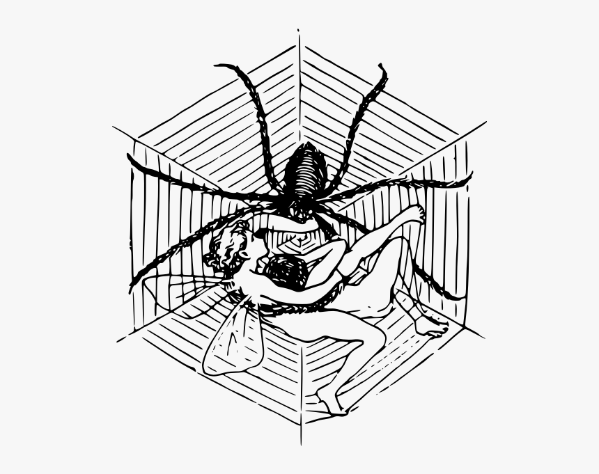 Woman And Spider Illustration - Spider Web Pixel Art, HD Png Download