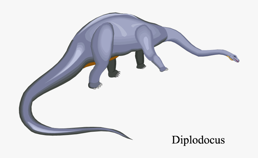 Puma, HD Png Download