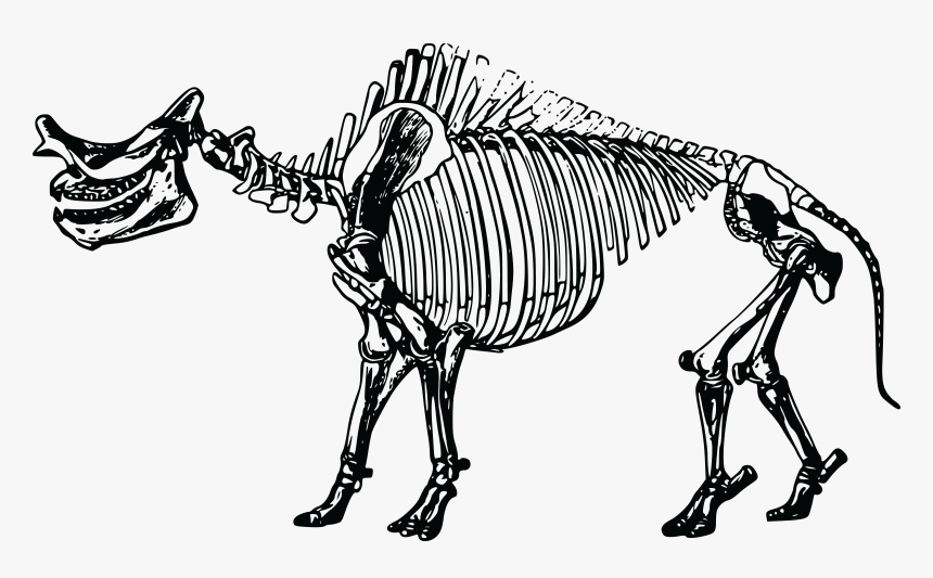 This Free Icons Png Design Of Titanotherium Skeleton - Fossil Fuel Bones, Transparent Png