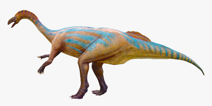 Tyrannosaurus, HD Png Download