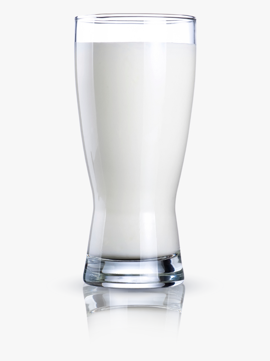 La Calidad Es Un Idioma Universal - Beer Glass, HD Png Download