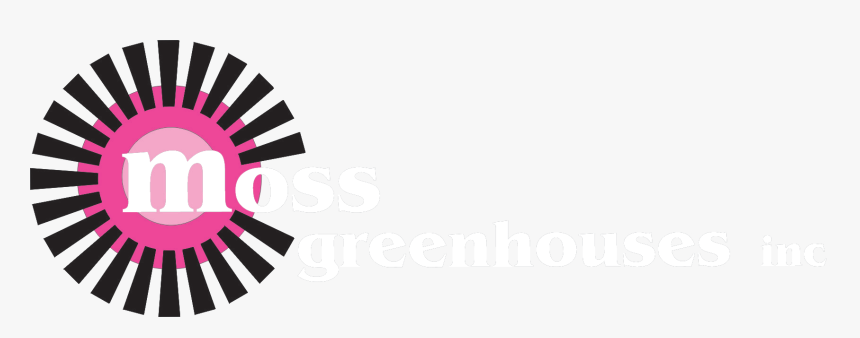 Transparent Cobweb Texture Png - Sun Rays Vector Png, Png Download