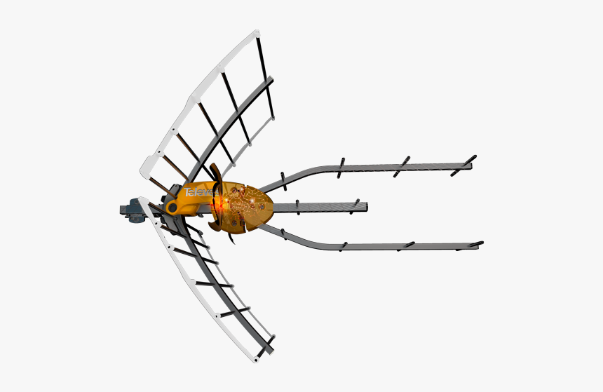 Bee, HD Png Download