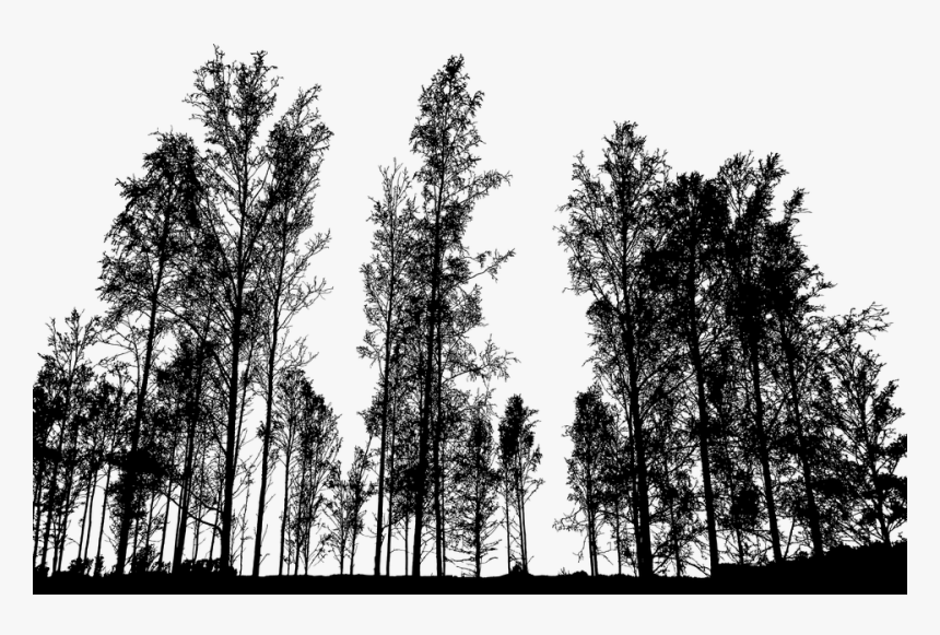 Grove, HD Png Download